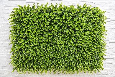 巴黎世家发布免费滑雪游戏 游玩比赛可得实物奖励